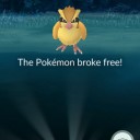 Что означет надпись «The Pokemon broke free»?