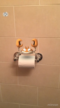 Защитник туалетной бумаги